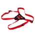 CalExotics Red Rider Strap On Harness Set