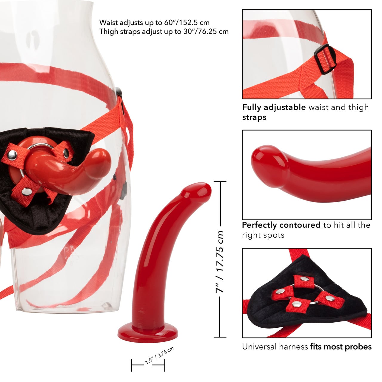 CalExotics Red Rider Strap On Infographic
