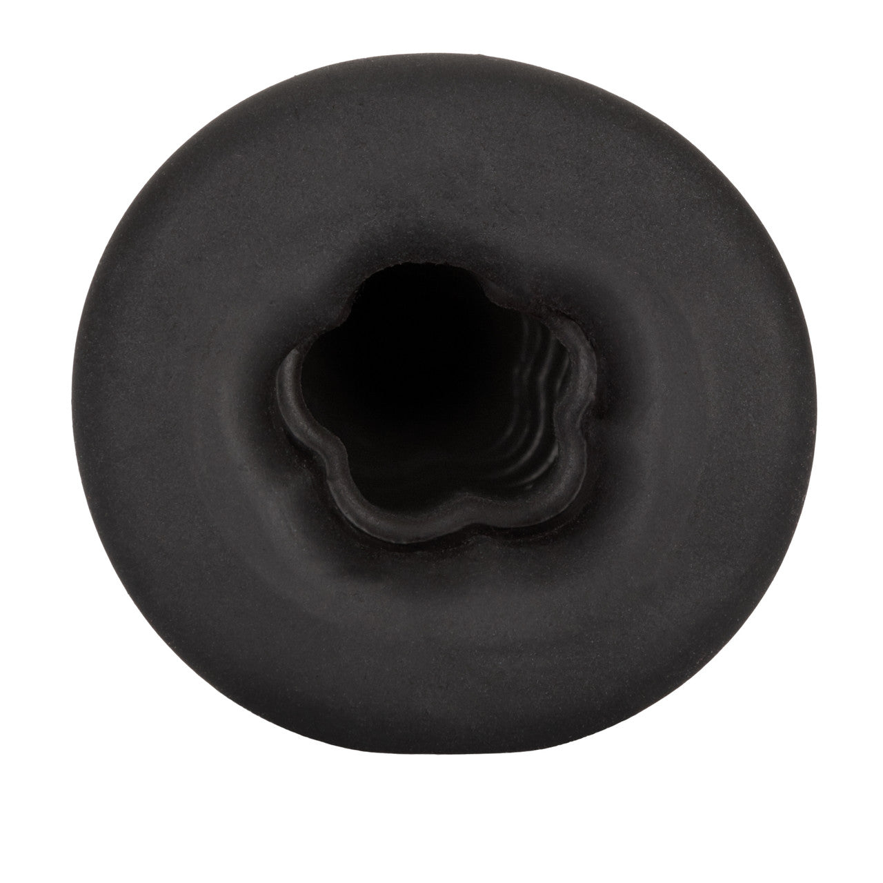 Packer Gear FTM Stroker Interior