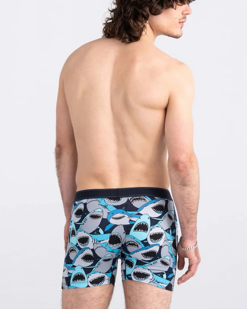Saxx Daytripper Cotton Boxer Shark Tank Camo Navy Back