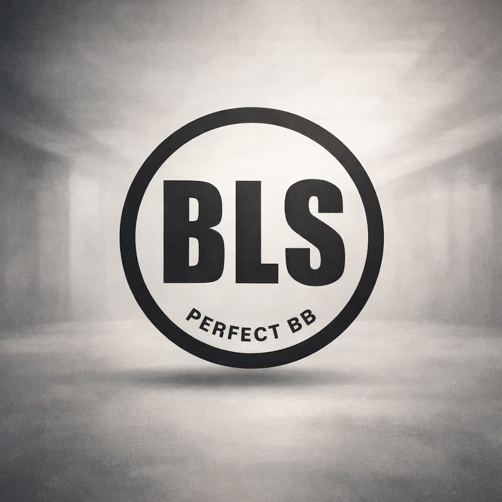 BLS Perfect BB Logo