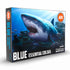 AK Interactive Blue Essentials Color Set
