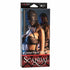 CalExotics Scandal Corset Lace Hood Box