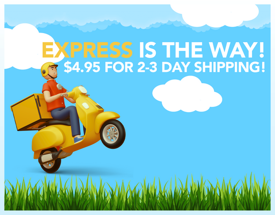 2-Day Prime Shipping