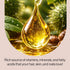 Kitsch Castor Oil Benefits
