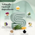 Kitsch Rosemary Biotin Volumizing Shampoo Key Ingredients