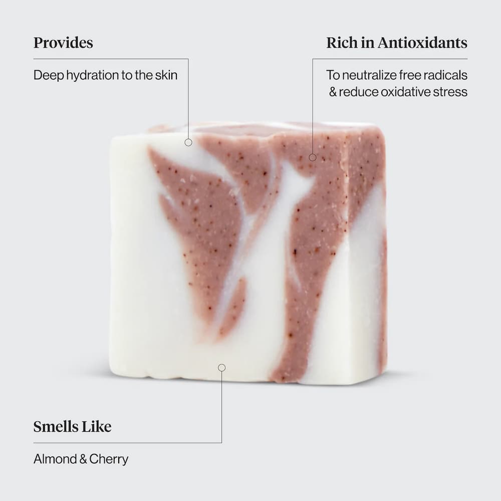 Kitsch Shea Butter Exfoliating Body Wash Features