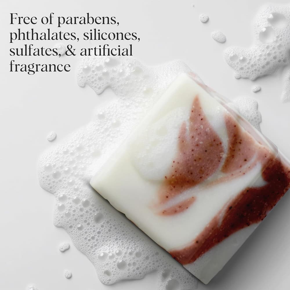 Kitsch Shea Butter Exfoliating Body Wash Skin Feature List