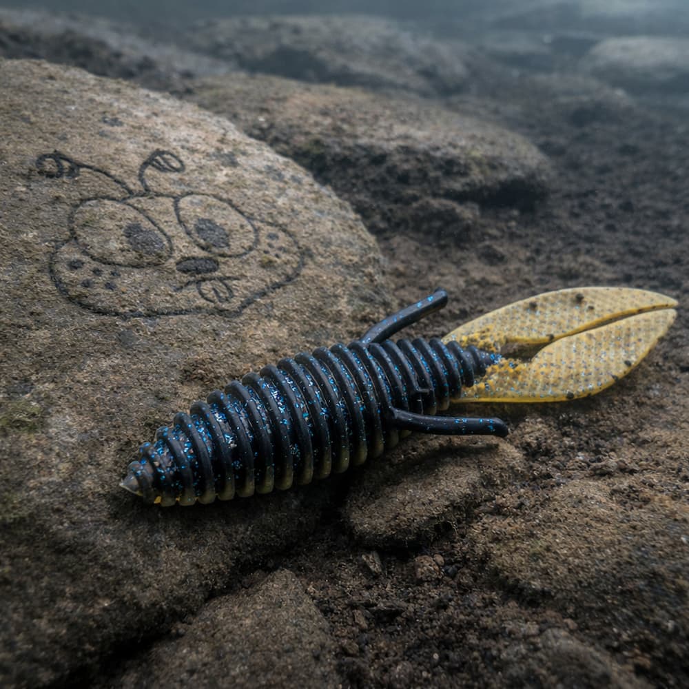 Micro D Bomb Superbug