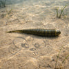 Missile Baits Spunk Shad 3.5 Green Pumpkin