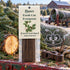 Paine Incense Sticks Fresh Cut Evergreen