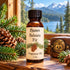 Paines Fragrance Oils Balsam Fir 1oz