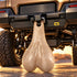 Truck Nuts Vanilla Large