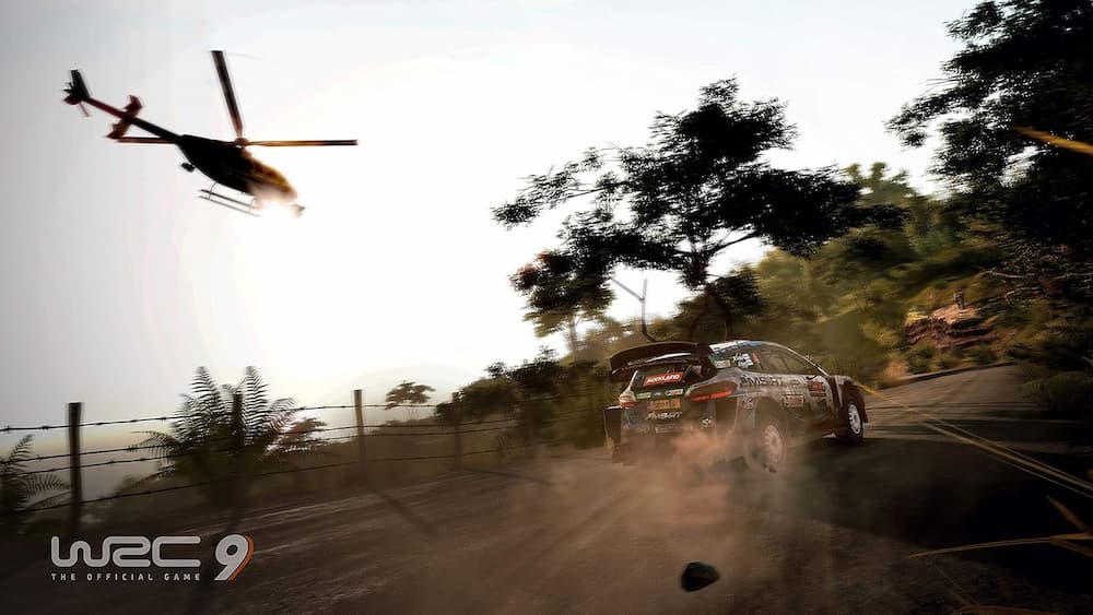 WRC 9 PS4 Picture