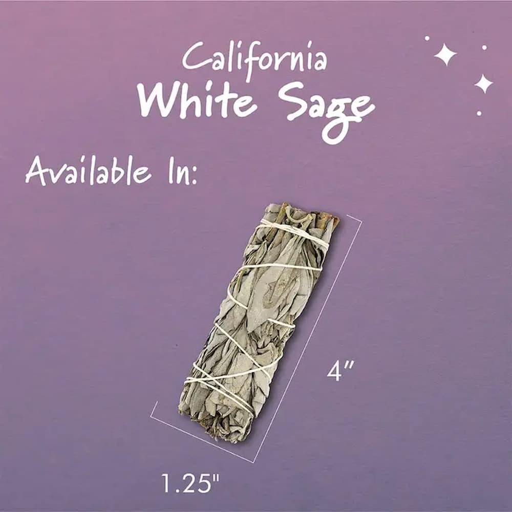 White Sage Dimensions