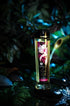 SHUNGA Erotic Massage Oil • Cold Pressed & Vitamin E Infused